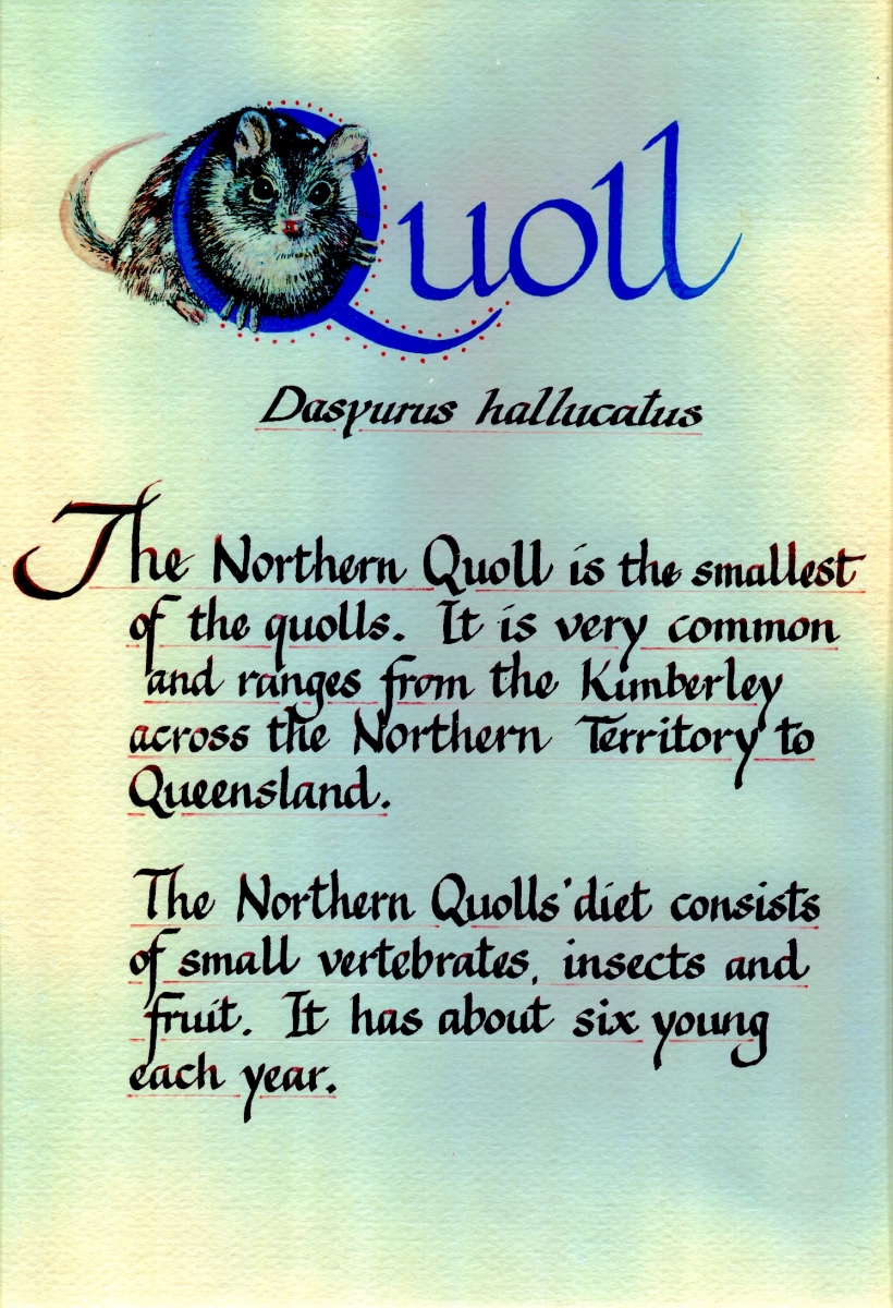 Jennifer-Young-Quoll-001
